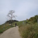 천수만목장 이미지