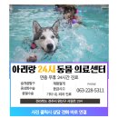 가야종합동물병원 이미지