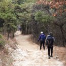 국제성지 둘레길 이미지