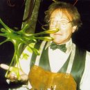 플러버 (flubber) 이미지