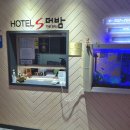 더밤S호텔 이미지