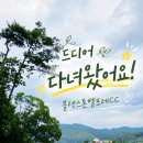 블랙스톤벨포레CC 솔직후기｜47,500원에 다녀온 이유, 호불호가 갈리는 이유도 직접 확인