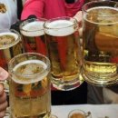 생맥주 Daum카페