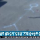영등포구 대림역 이미지