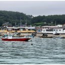 방파제 낚시 편의점 이미지