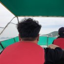 낭도피서지 | [전남 여수] 오동도, 간단하게 산책하기 좋은 아름다운 섬! 여수 여행지 1순위.