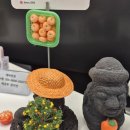 앤헤어샵 이미지