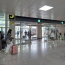 현대카 | 4월 제주도 김포공항 제주 현대 렌트카 펠리세이드 제주렌트카 추천 후기