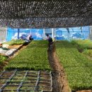 한철농장 이미지