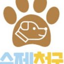 수제천국 이미지