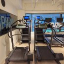 레디 바디 이미지