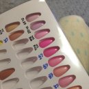 예쁜 벨라포마 칼라들 ^^ ( 이번에 구매한 핑크계열 칼라 !) 이미지