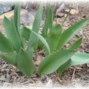 예쁜새싹어린이집 이미지