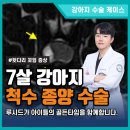 양주예쓰병원 | 양주시 동물병원ㅣ강아지 뒷다리 꼬임 증상, 척수 종양 수술 후기