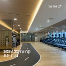 만성 | 만성 알레르기 피부묘기증 완치 후기