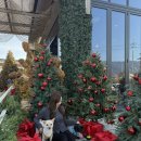 댕댕그라운드 | 포천 더히로플레이그라운드펜션&amp;글램핑｜피플애견스파펜션 내돈내산후기