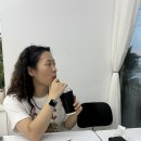 스테이오아 이미지