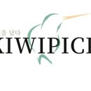 키위픽