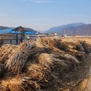 무릉도원면-23 이미지