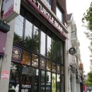 터틀하우스 이미지