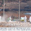 일파만파농장 이미지