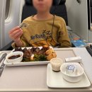 대한항공(주) | 대한항공 B777-300 프레스티지 후기 (싱가포르 가족여행, 좌석 기내식 리뷰)