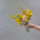에이블랑헤어샵 | 피아스튜디오,라비앙로즈웨딩(구 하우스오브에이미),(촬영전준비-당진미소네일,대구그린쥬르,천안에이블랑)