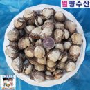 벌교수산 이미지