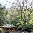 대흥여관 이미지