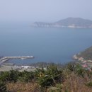 초당약품 이미지