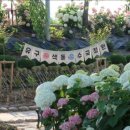 색동공원 이미지