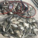 월척낚시터 이미지