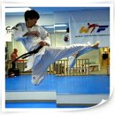 성균관대국가대표 태권도장 이미지