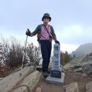 백덕산캠핑장