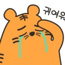 투어넘버원