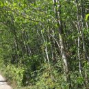 매화당구장 이미지