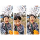 대봉목장 이미지