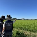 탈모약 건보-농지조사 오락가락, ETF 뒷북 규제… 국민 혼란 키워 이미지