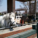 경마공원 이미지