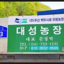 대성농장(1) 이미지