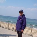 정동진역 이미지