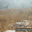 묵현리286-2 이미지