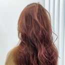 디어드헤어 분당미금점