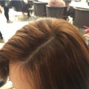 시영드라이 이미지