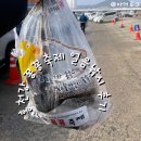 홍천강 | 2026 홍천강 꽁꽁축제 방문 후기｜초보자 얼음낚시 팁과 산천어축제 비교