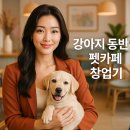 댕댕이 펫카 | 강아지랑 같이하는 펫카페 창업기! 현실은 어땠을까요?
