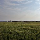 가파도민박 이미지