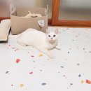 마루네 애견사랑 | 에코폼펫 매트 사용후기