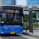 삼성여객주식회사 이미지