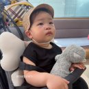 보이스 | 음성인식 선풍기 추천 저소음 써큘레이터 오아 보이스팬 후기